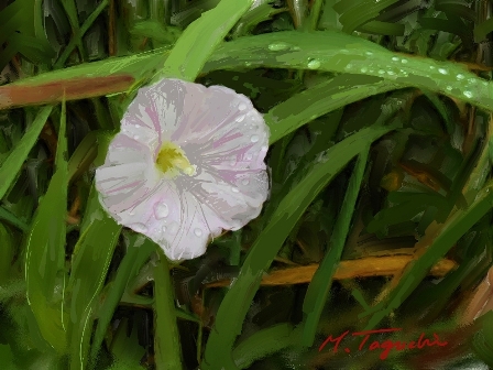 ��i35.���������Q