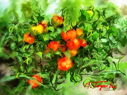 ��i37�D�z�E�Y�L�P