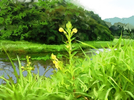 ��i2�D��ꃖ��