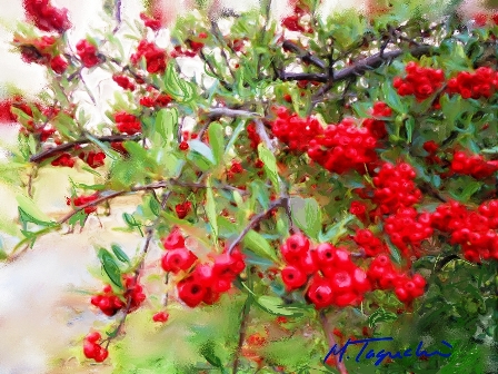 ��i35.�Ԃ���