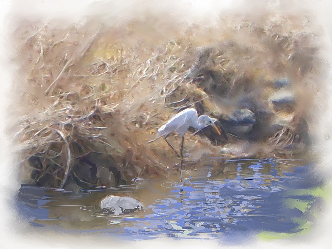 ��i37�D�V���T�M